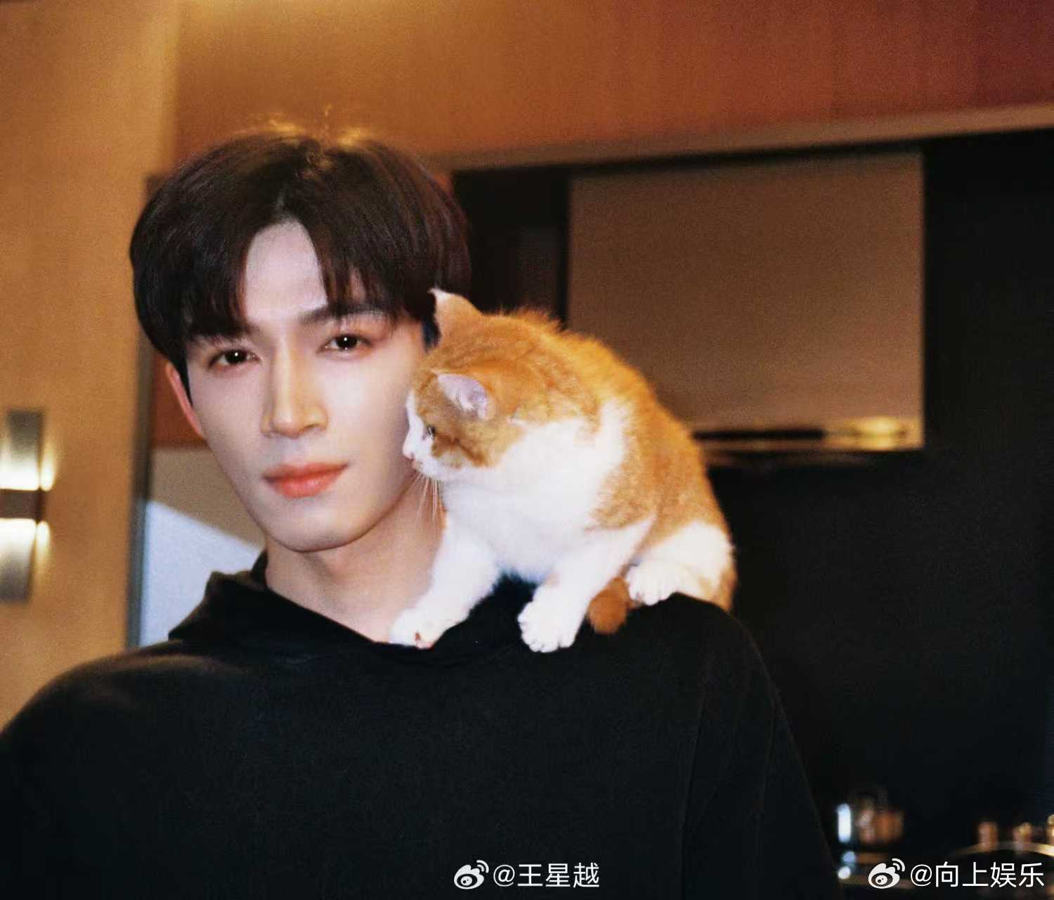 王星越把猫扛在肩上 王星宇把猫扛在肩上王星越真的很宠自己的小猫呀，和猫咪贴贴也太