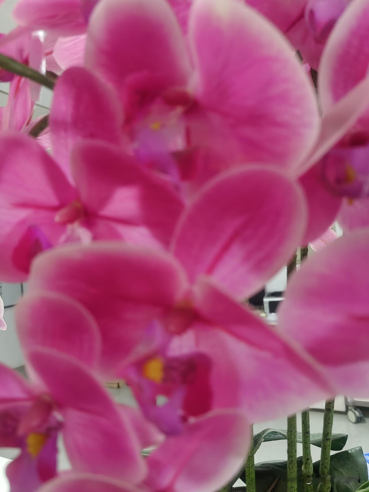 明天和意外真的不知道哪个先来，所以我们好好爱惜自己的身体吧！不要过度劳累和透支自