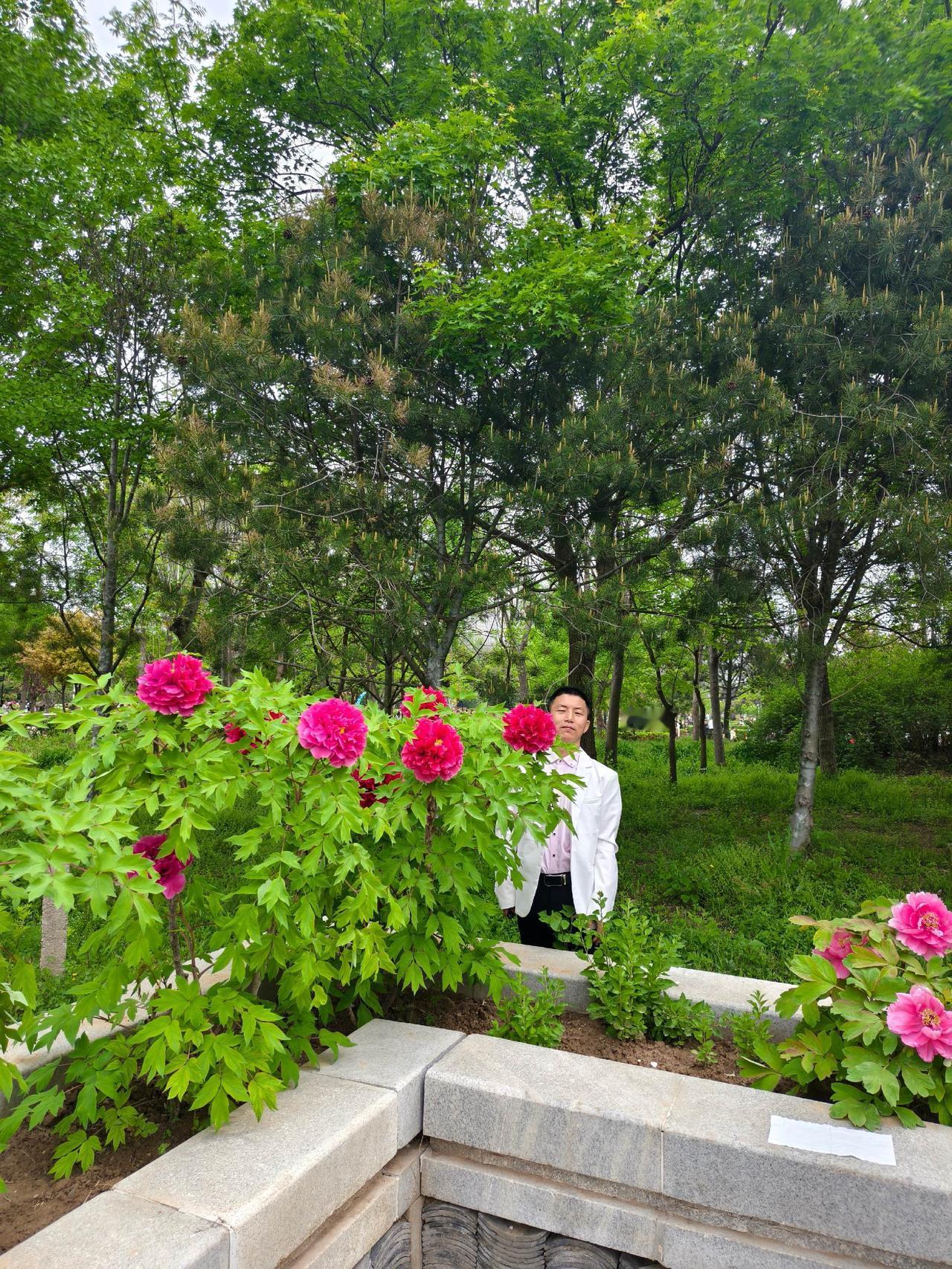 曹州牡丹园游赏