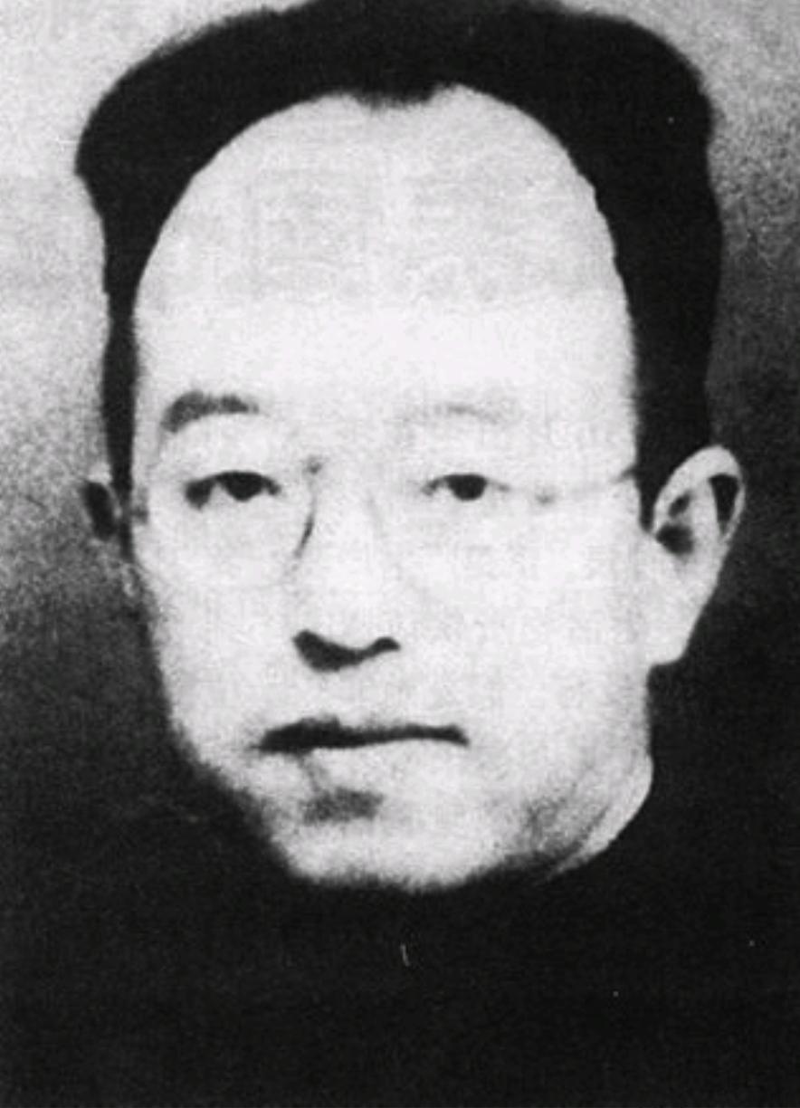 1938 年，游击队计划攻打界首镇。此前情报称镇上仅七八个鬼子，自卫团主席张北华