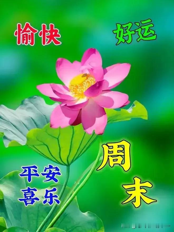周末愉快！满满牵挂；
真诚祝福，健康平安；
生活幸福，快乐每天！