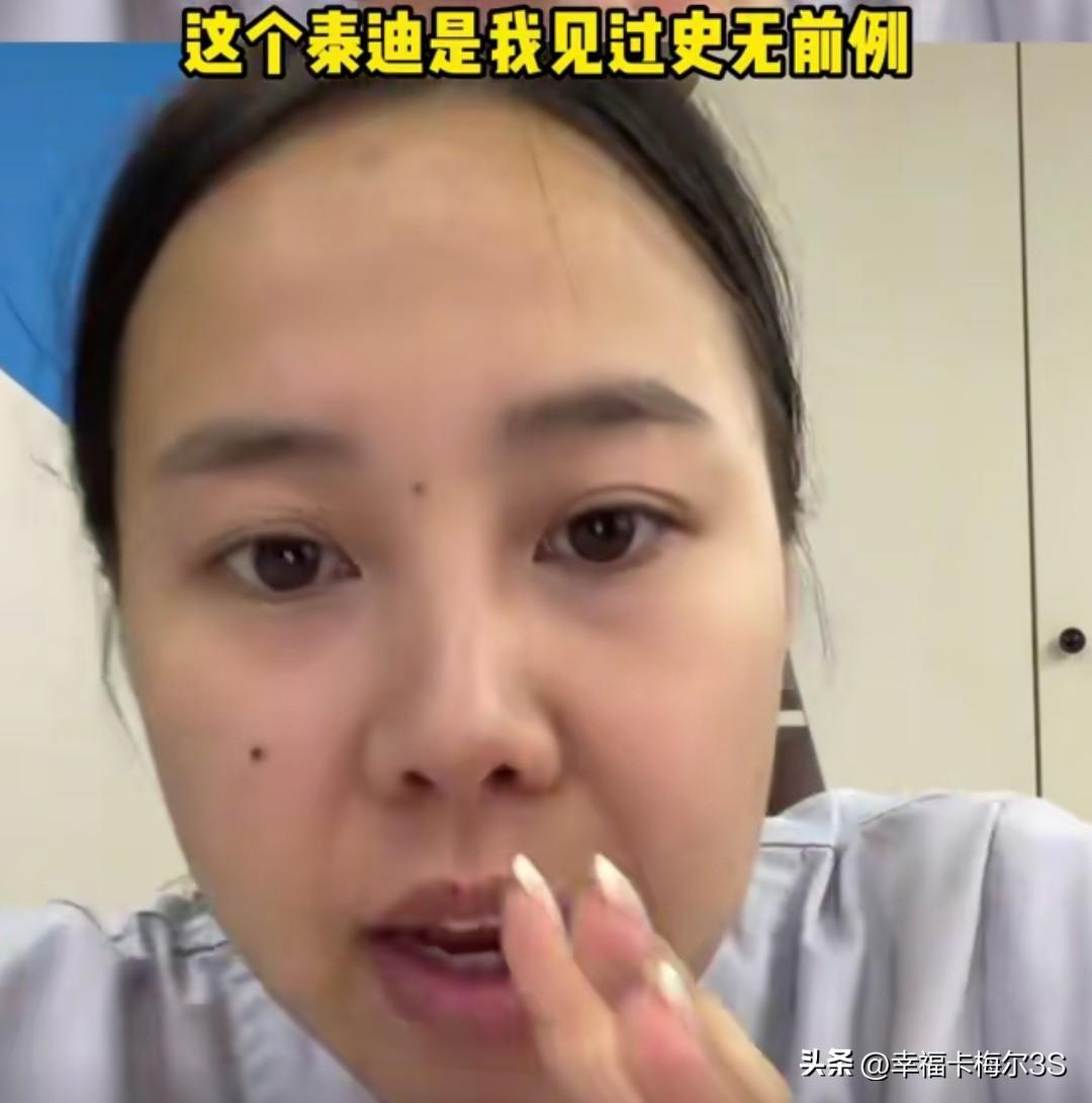 这只泰迪真的坏到骨子里了，简直刷新认知！

这只泰迪是博主在宠物洗澡店认识的。主