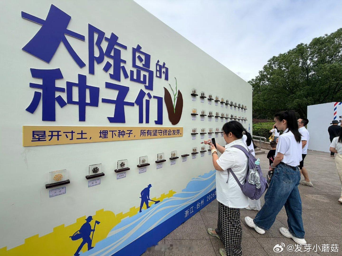 垦荒精神在台州焕发新生 【2026“循迹溯源”网络潮评周】誓言铿锵，歌声嘹亮。仪