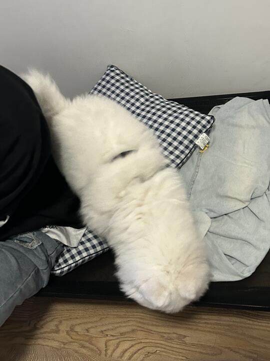 翻到小时候的统一了