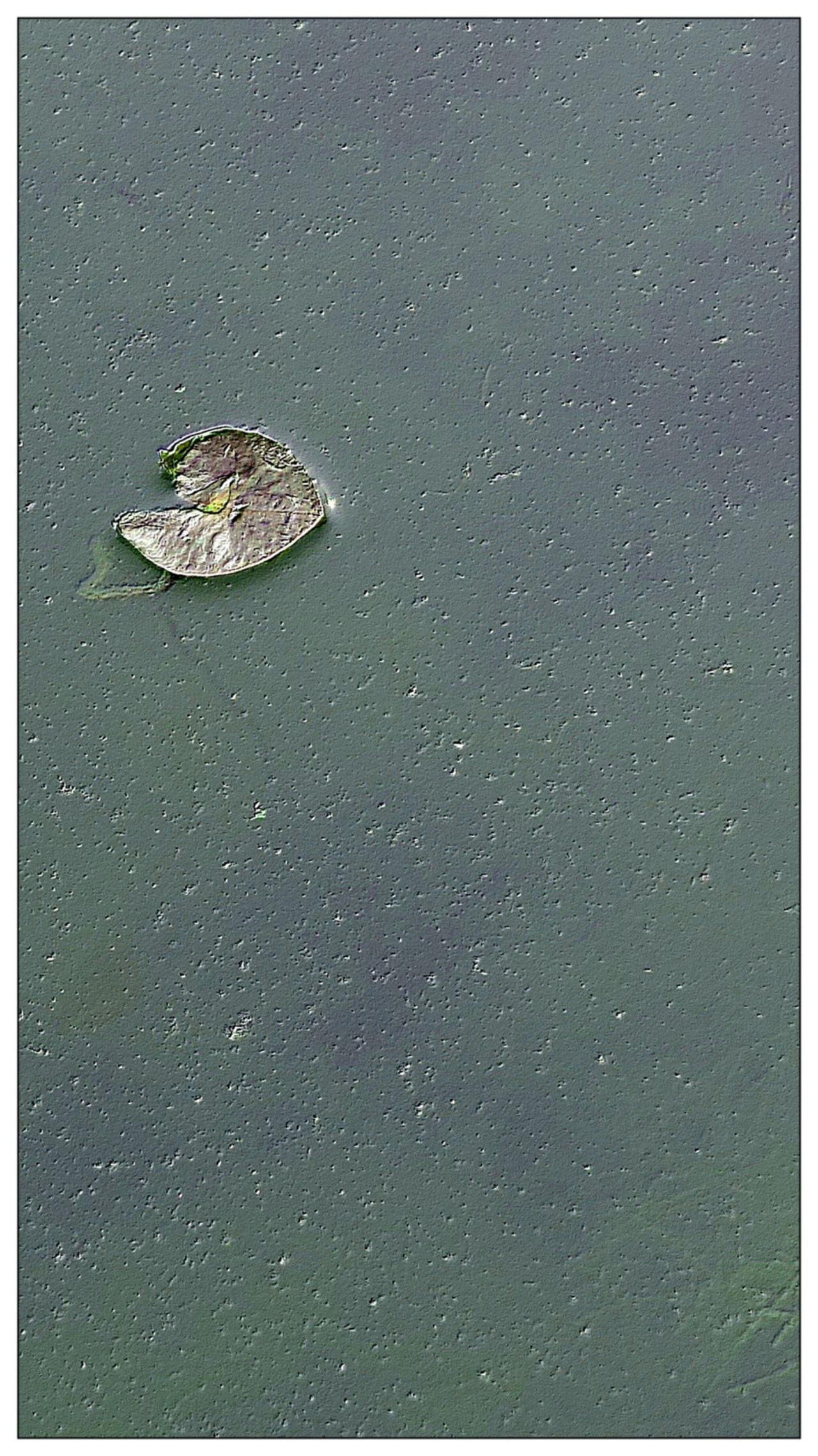 小品