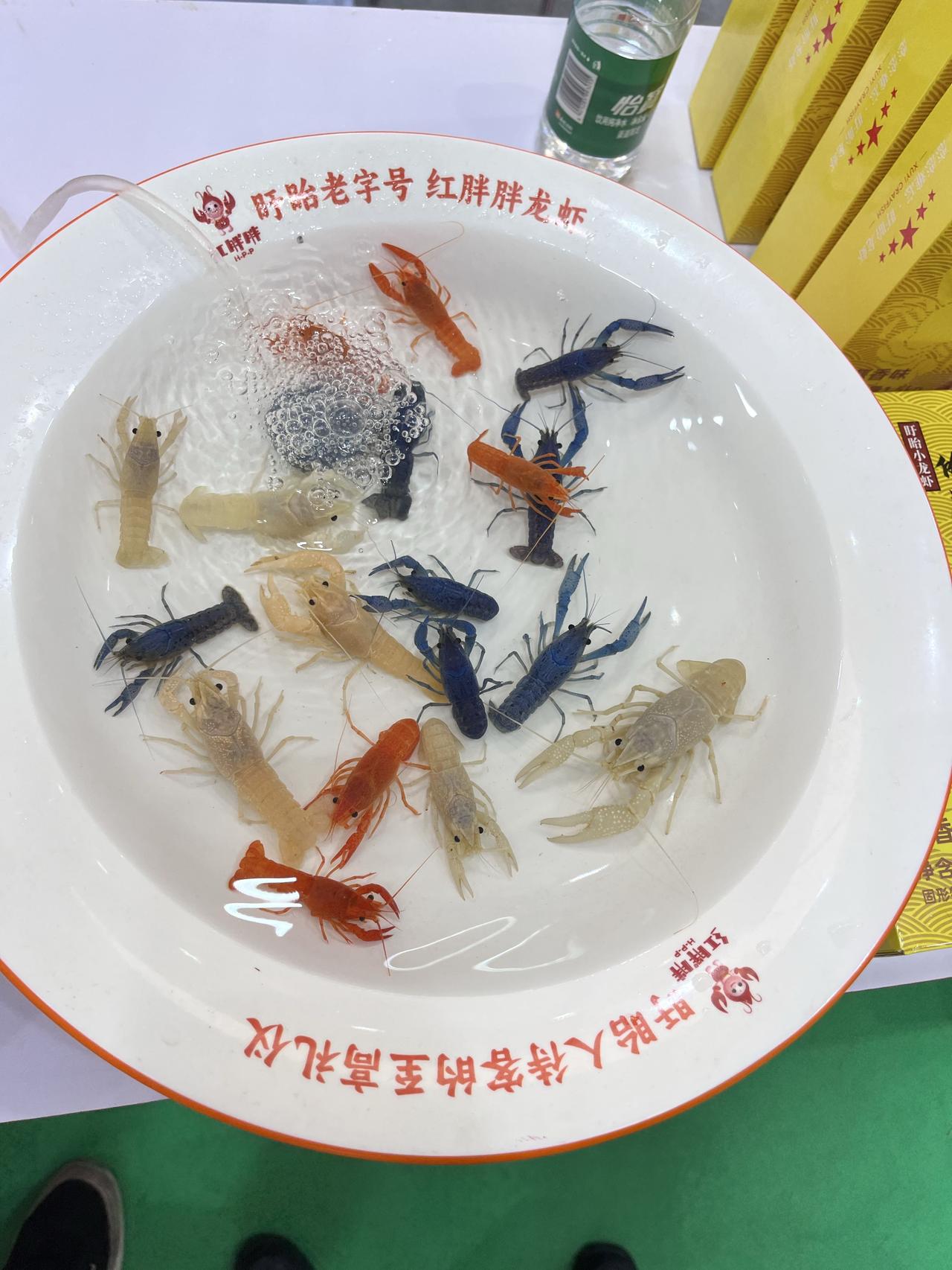 五颜绿色的小龙虾