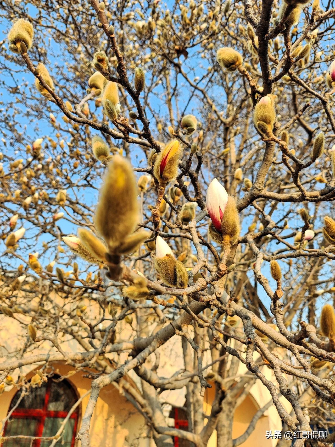 加不加班，我看还是自己把握为好，以完成任务为需，当老板的千万不要以为爱加班的就是