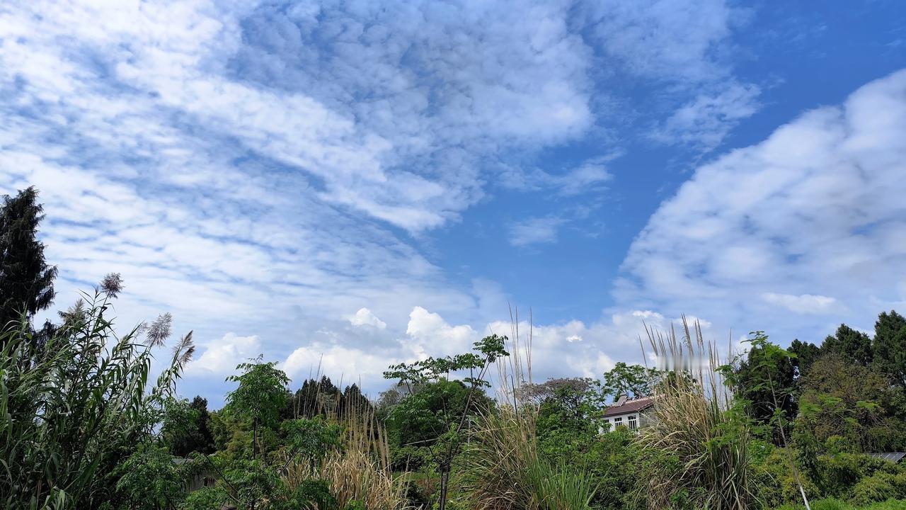 晒图笔记大赛今日随手拍欣赏！天气真好！仿佛所见所闻都是美好的！一张照片记录美好的