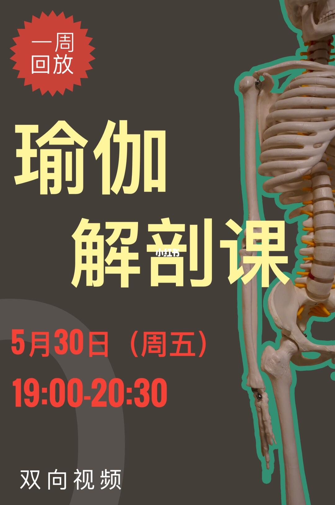 瑜伽解剖线上课报名啦！