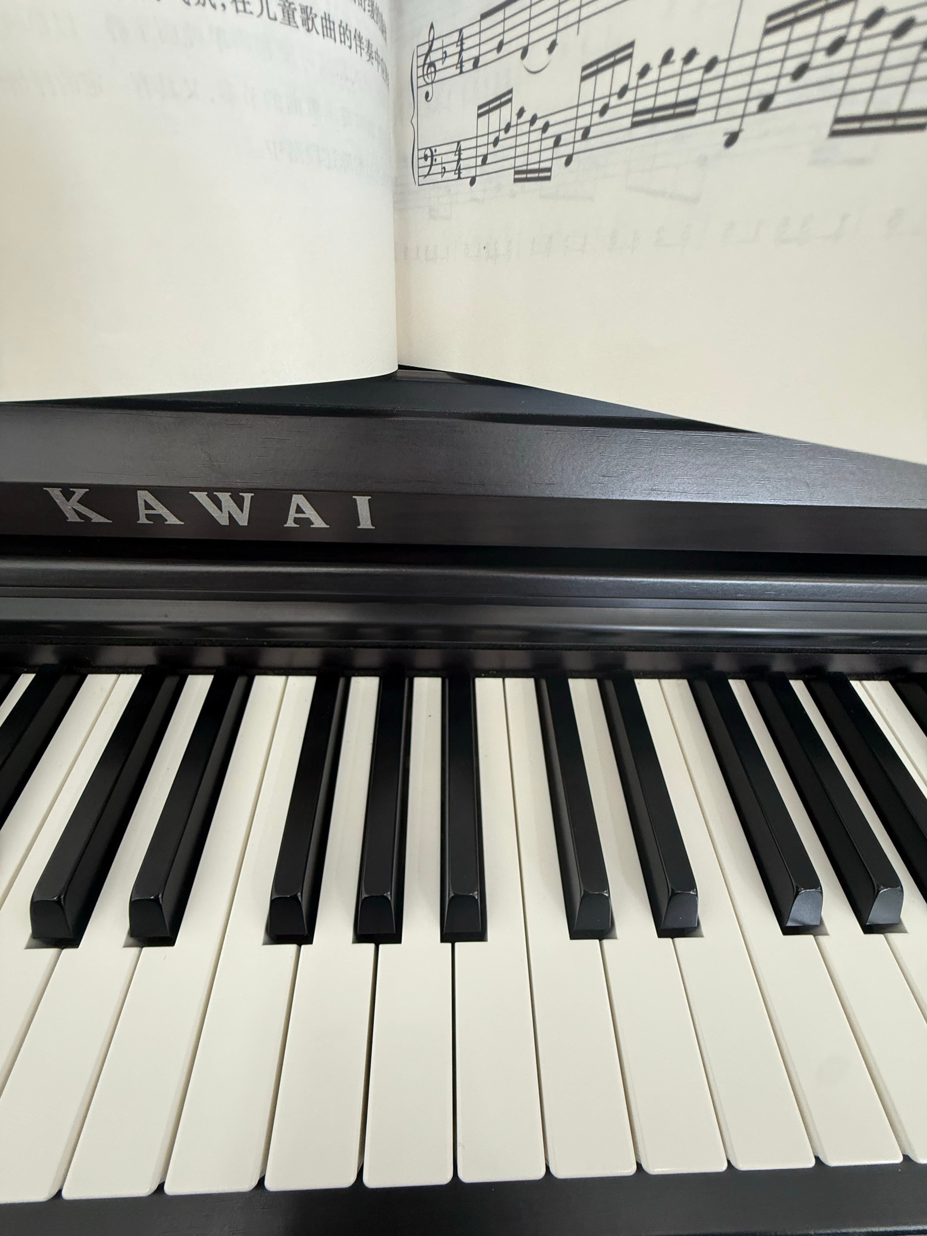 讨厌🎹 ​​​