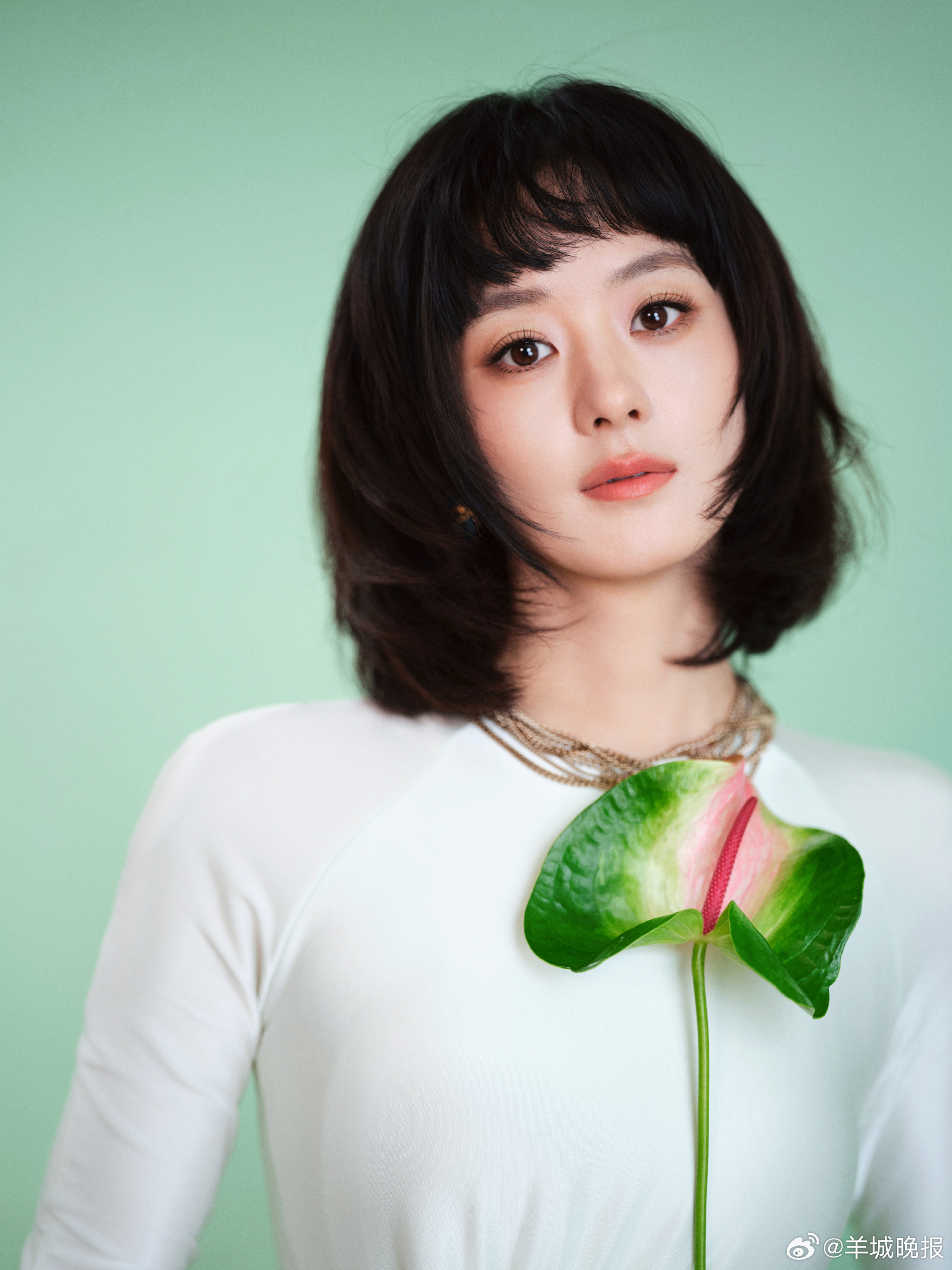 【#赵丽颖维权胜诉黑粉道歉#】#侮辱赵丽颖黑粉致歉# 企查查APP显示，近日，法