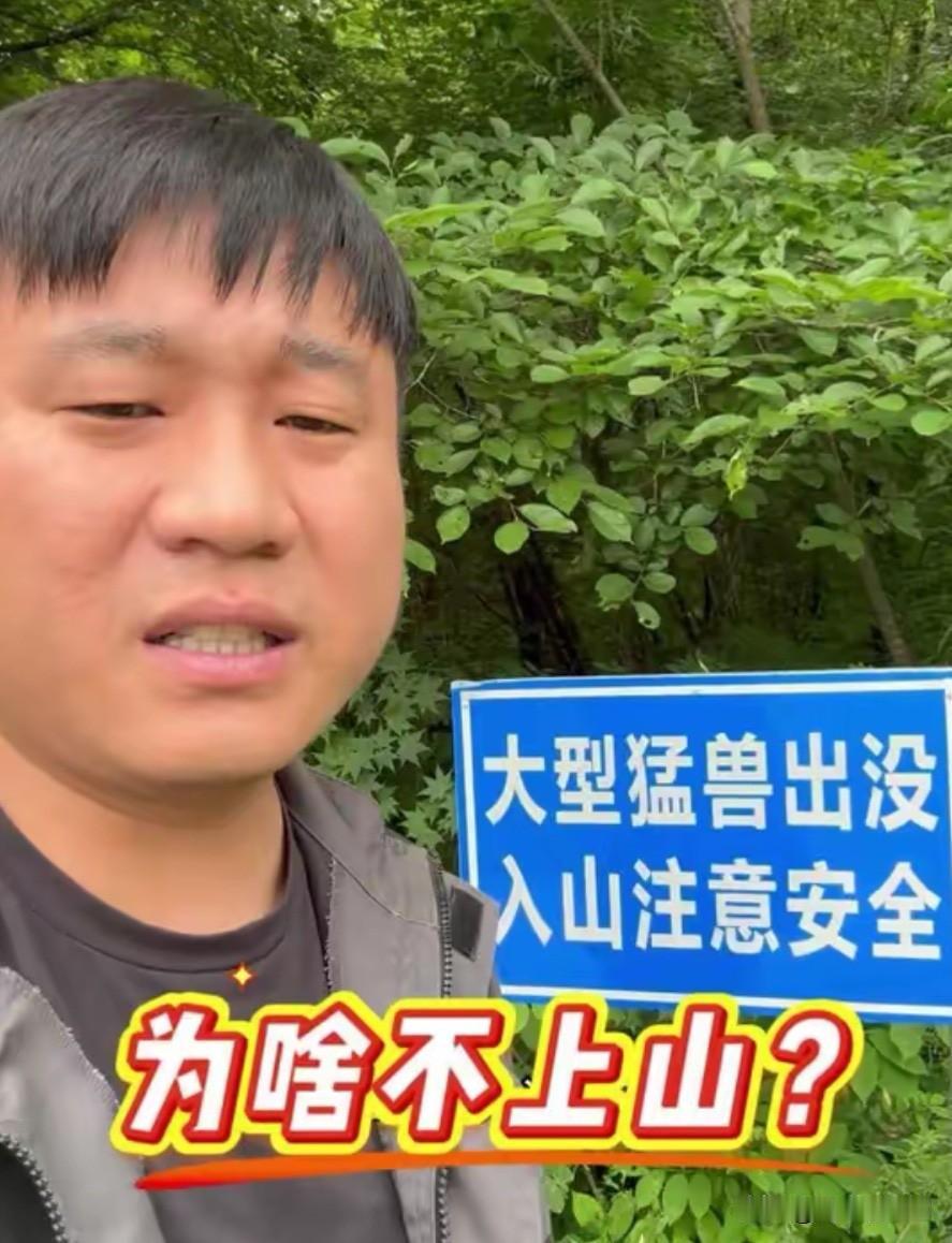 五林洞网红们的视频越来越没意思了，大网红们都不跑山了全去直播带货了。还有一些网红