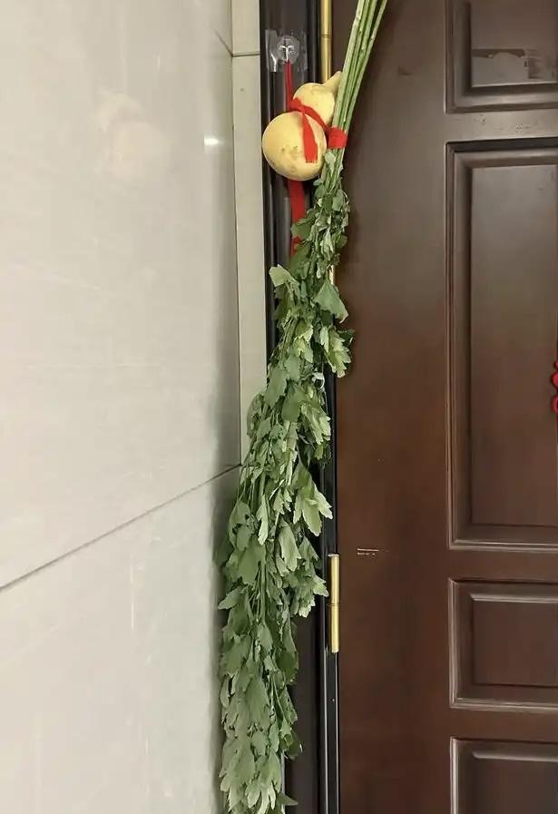 今天端午节，全部放假在家。我们是这样安排的：
早上，挂艾草、吃艾草煮蛋、吃粽子、