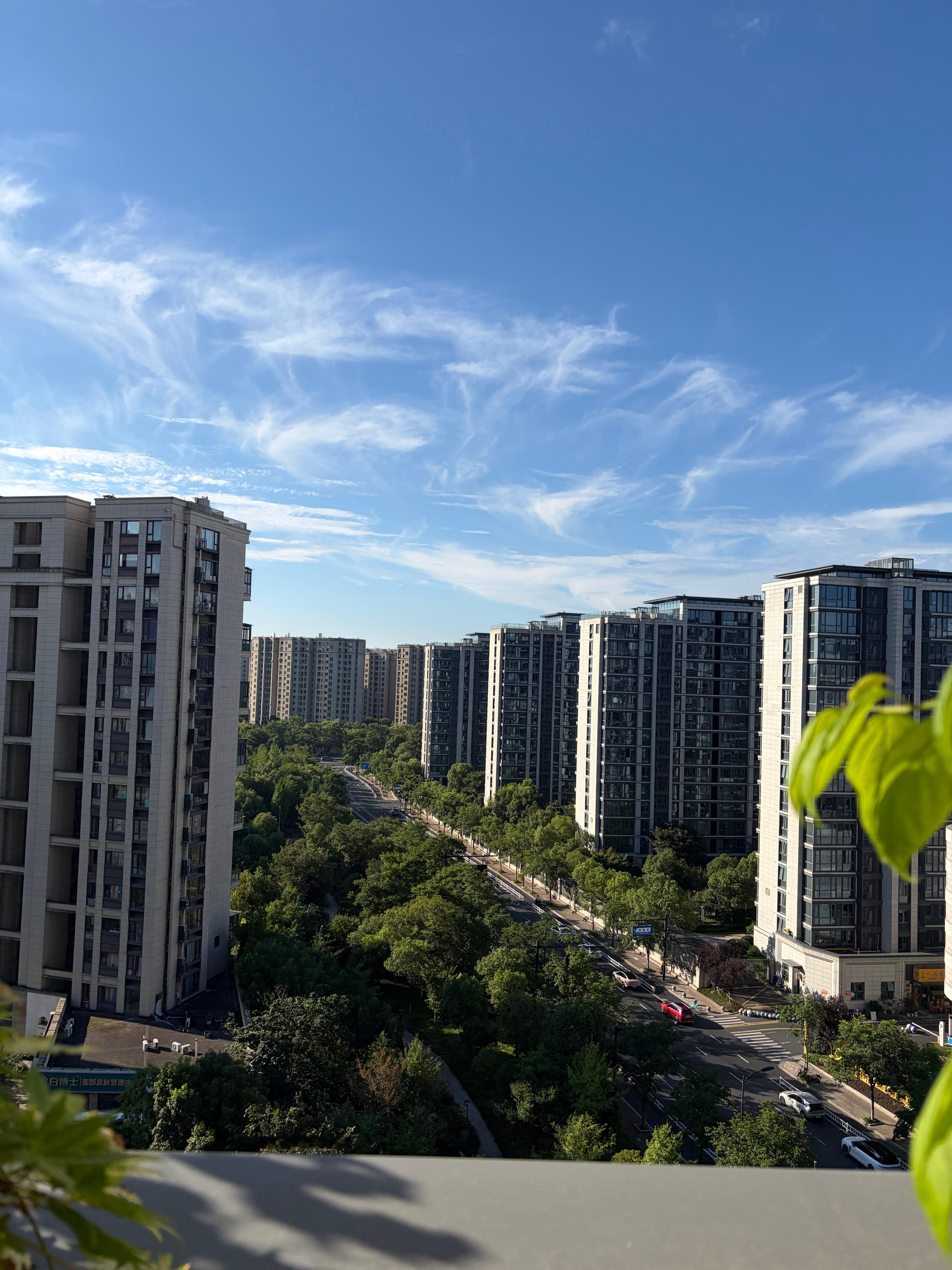 不是说刮台风吗？天气晴这么好？难道要等打工人周五下班再刮？
