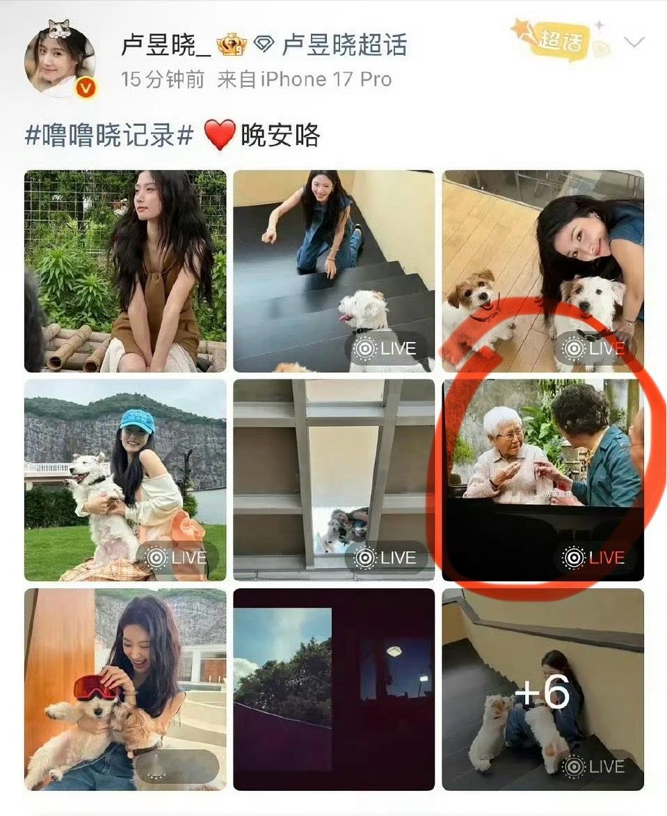 卢昱晓为盗摄《给阿嬷的情书》道歉了！卢昱晓道歉