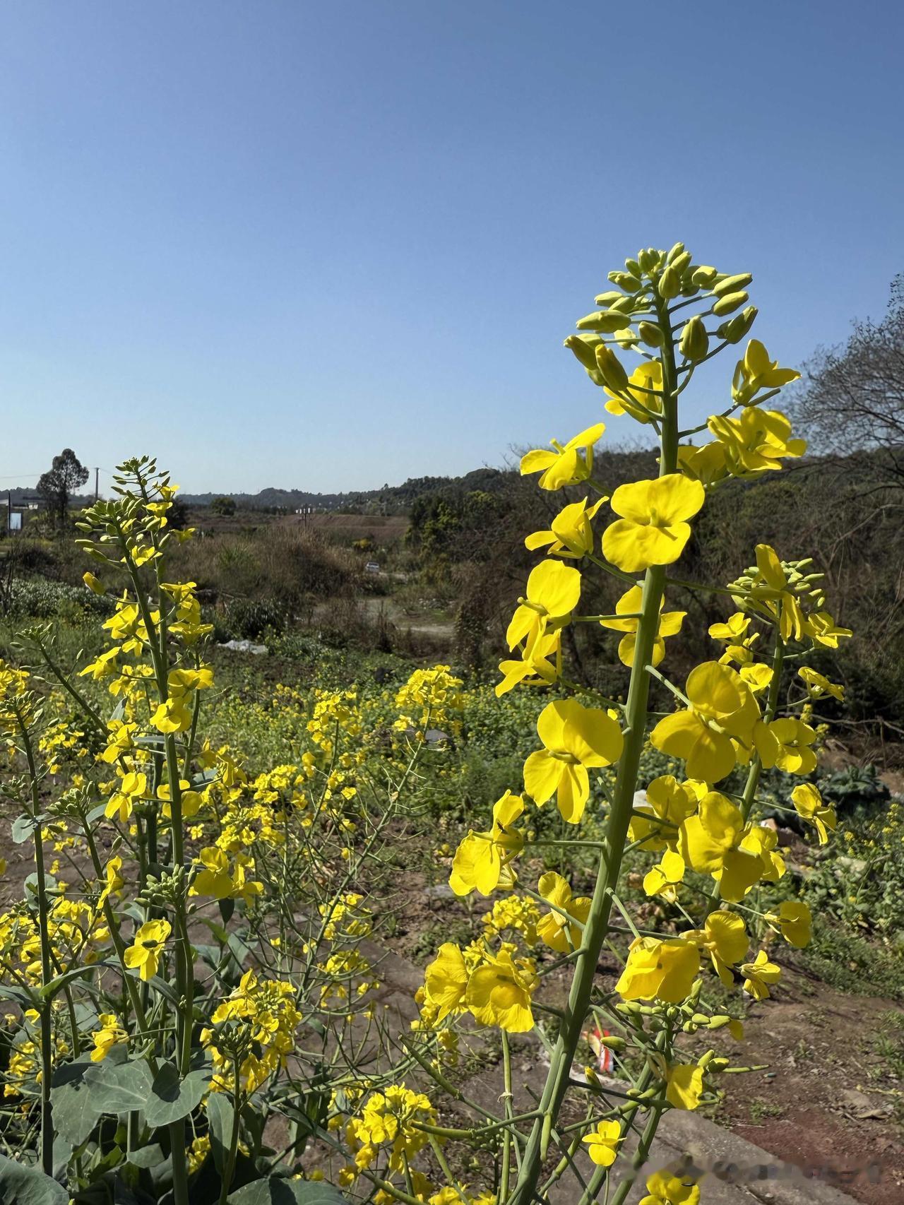 医院生病的病人很多，呼吸科最多的是男病员，四十多、五十多、六十多、七十多不等，老