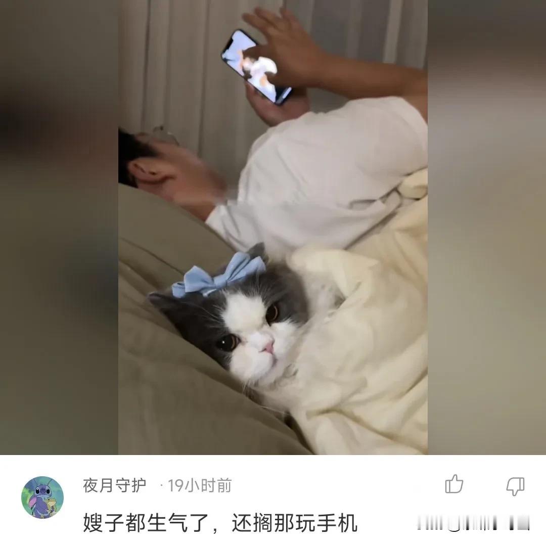 #热门内容分享#猫咪，那夜我并没睡着