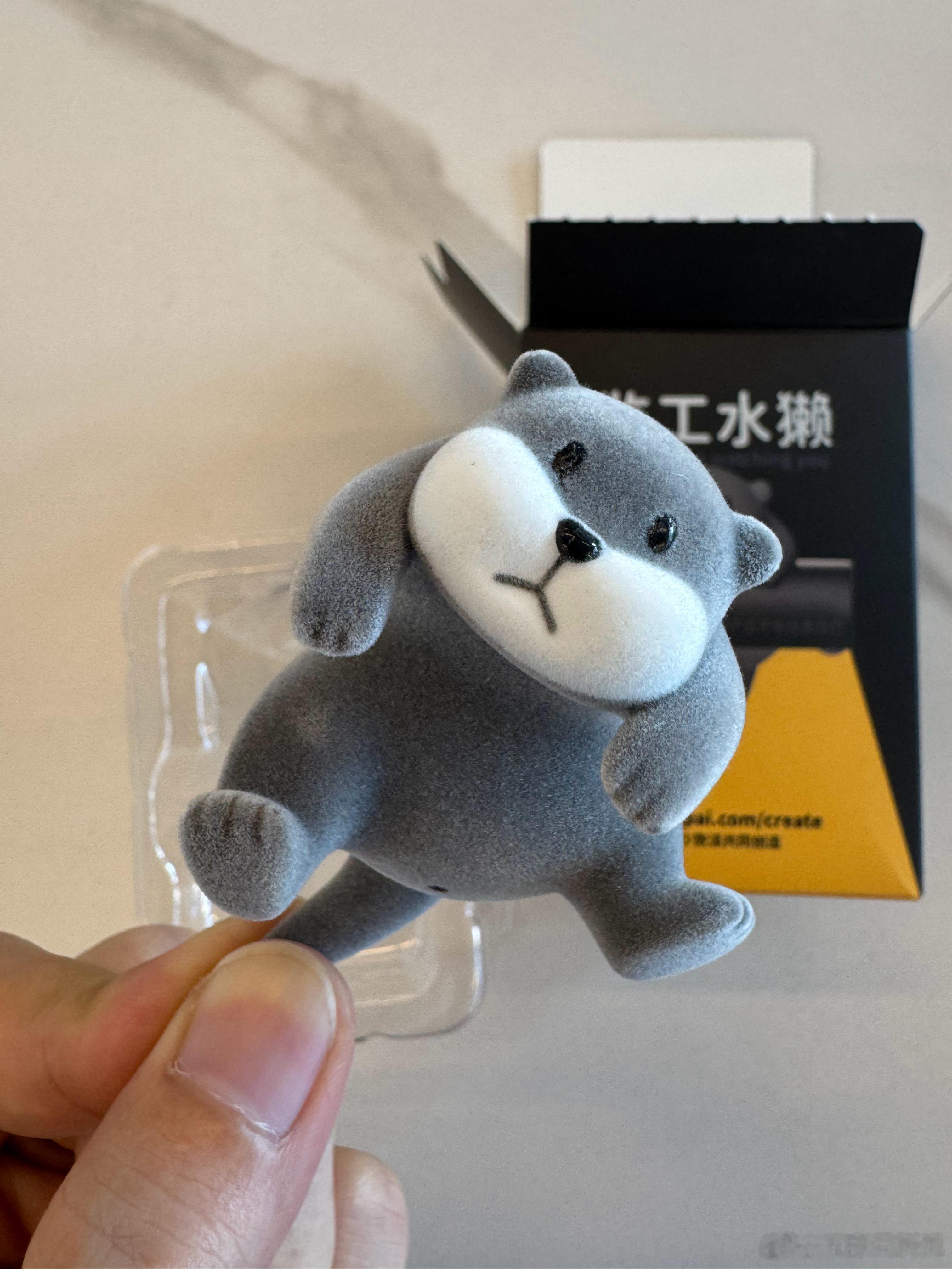 入手了一个的水獭，可爱吧？ 