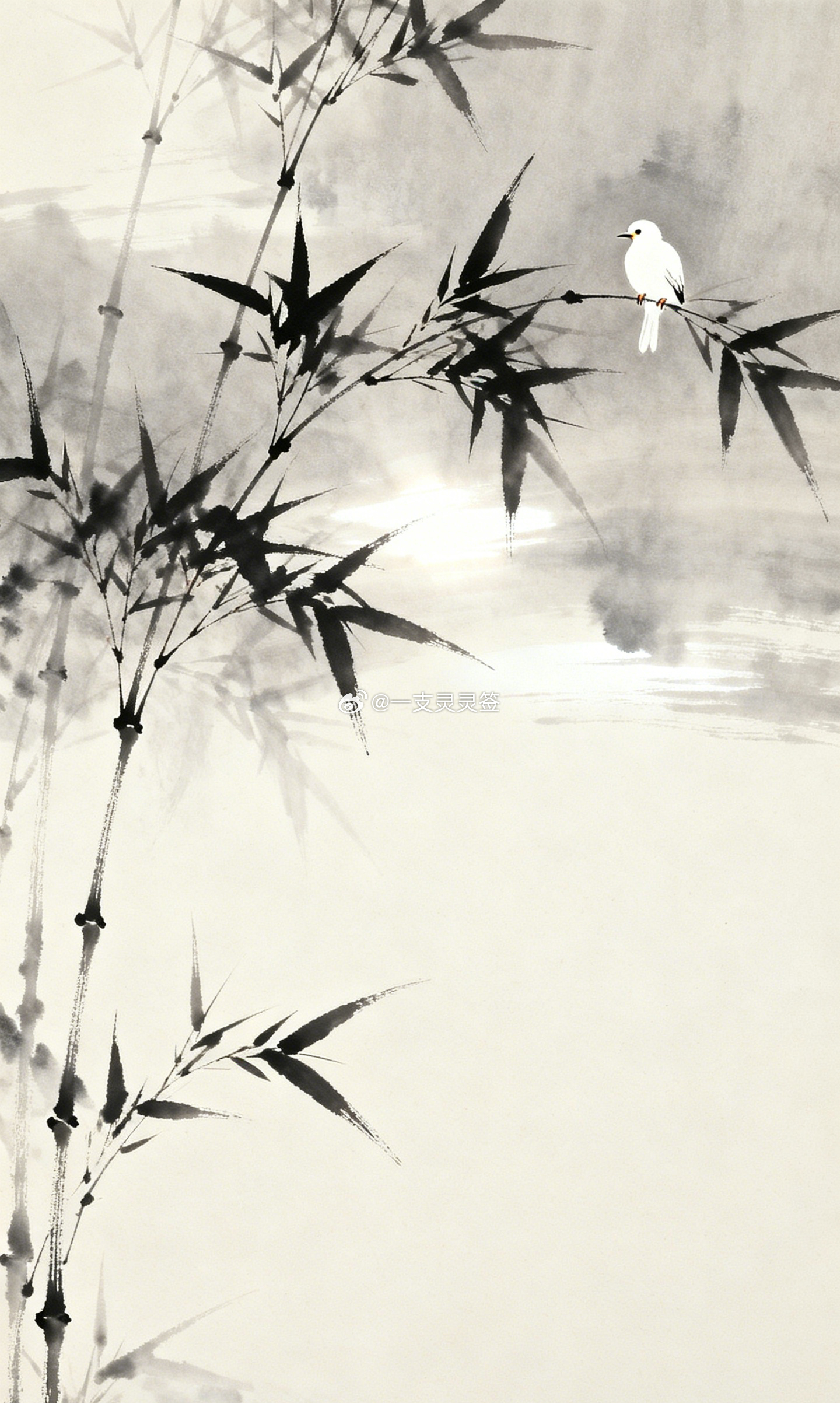 《庄子》里有句话我很喜欢：虚室生白，吉祥止止。听着玄乎，其实意思很简单：屋子得留