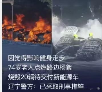 离谱！74岁老人嫌杨絮挡路，一把火烧了20辆新车，警方：刑拘！
 这事儿看完谁不