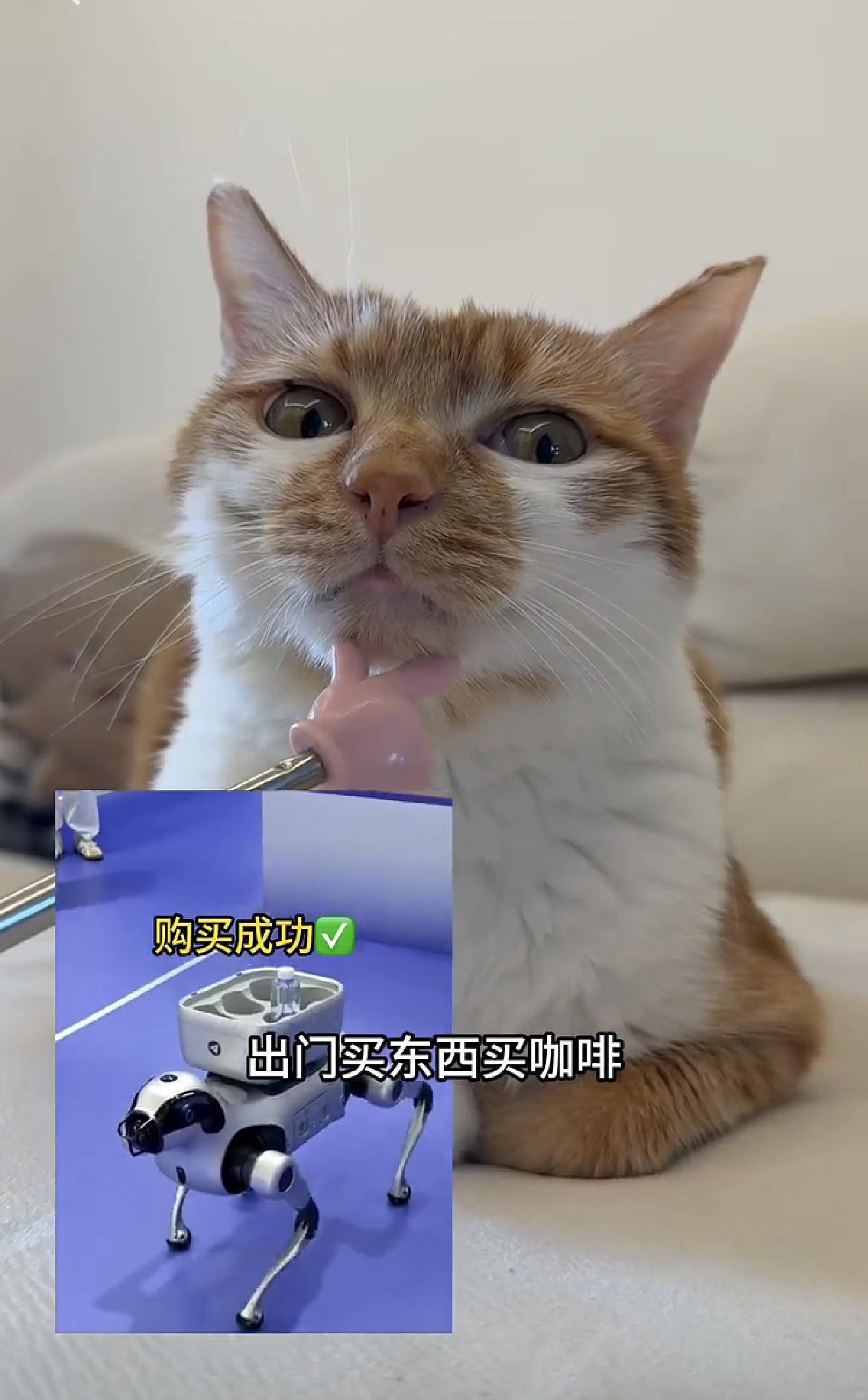 网友称狗腿付才是真接地气支付宝辟谣狗腿付全网玩梗的狗腿付火出圈😂，虽然官方辟谣