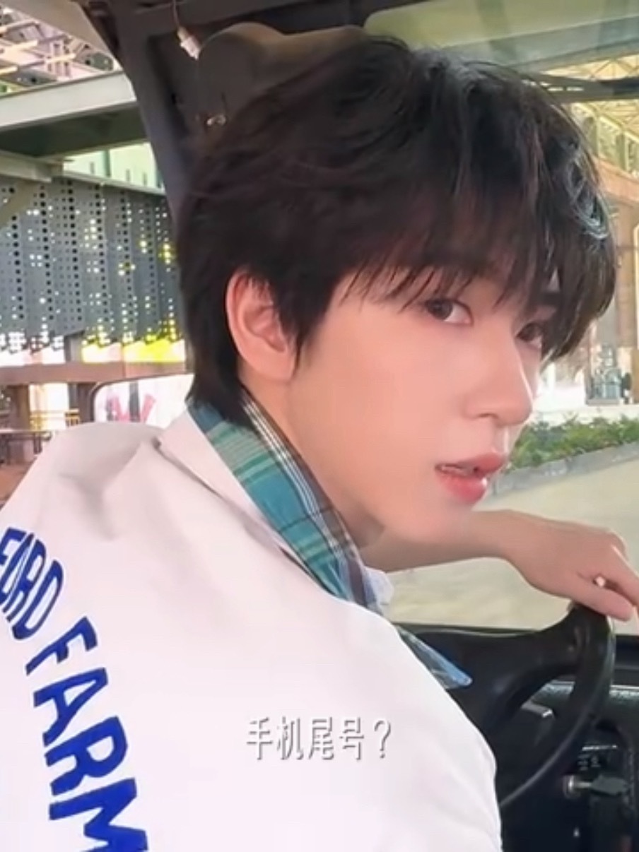 全网最有梗之人——贺峻霖从哪个平台可以打到贺师父的车？贺峻霖五十公里桃花坞6