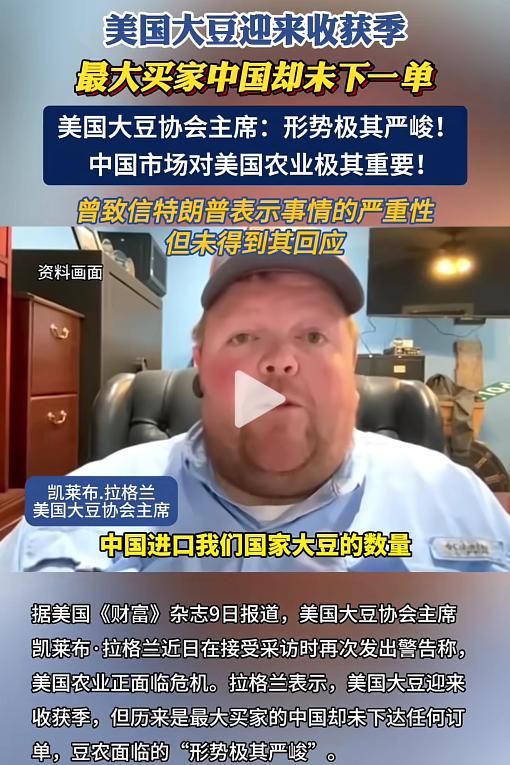 “不是喊得响，中国就得接盘？”特朗普撂话24小时，美豆订单挂零。
美国农场主群炸