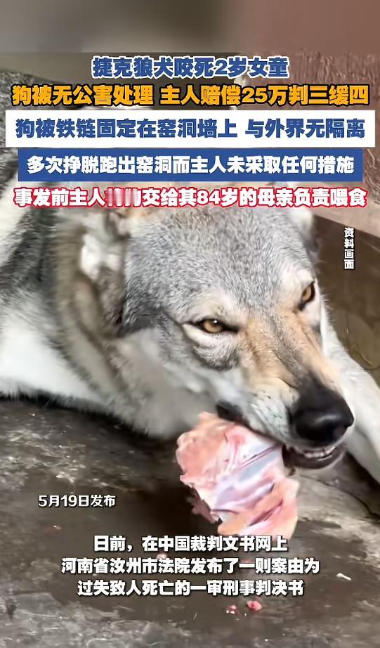 “令人痛心！”5月20日报道，河南汝州，一男子养的恶犬多次挣脱铁链，但他没当回事