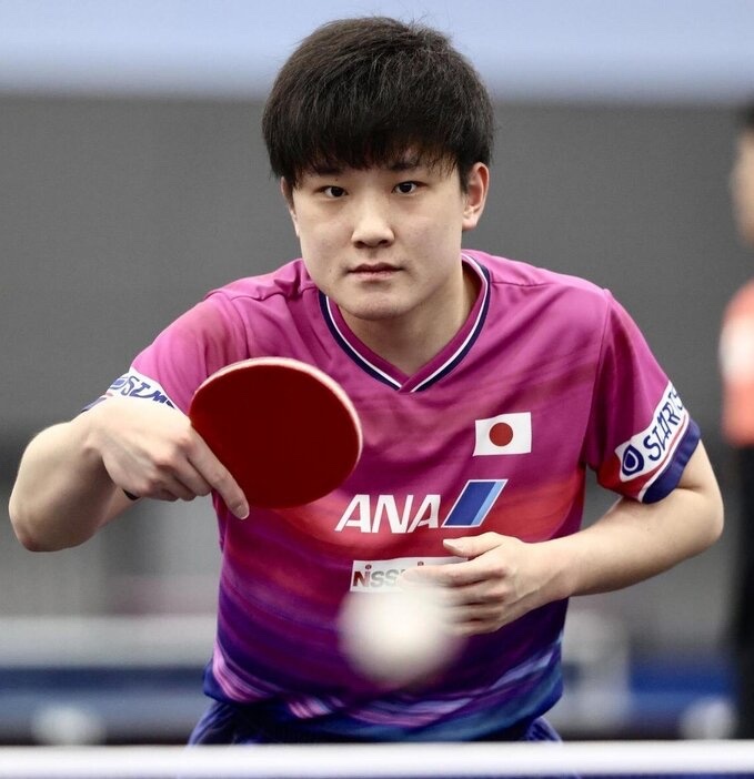 张本智和张本智和2026年伦敦世乒赛新闻报道 20260512【乒乓球】张本智和