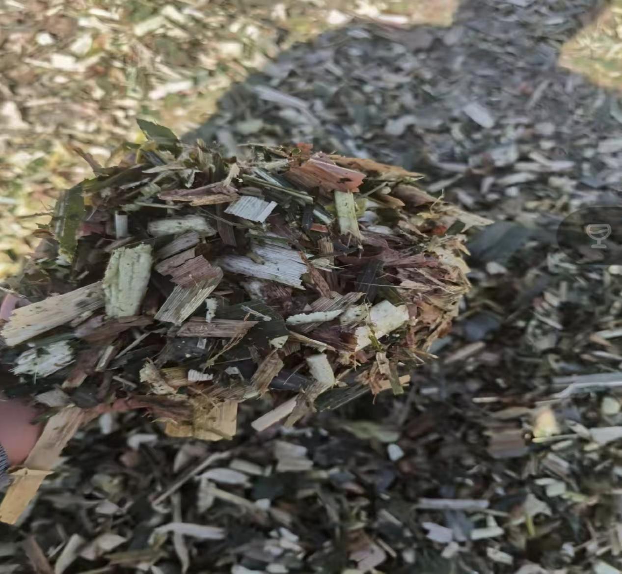 秦岭笑谈 【躬行黄河山东段流域，悟透秸秆资源化的实践深意】曲阜师范大学寒假社会实