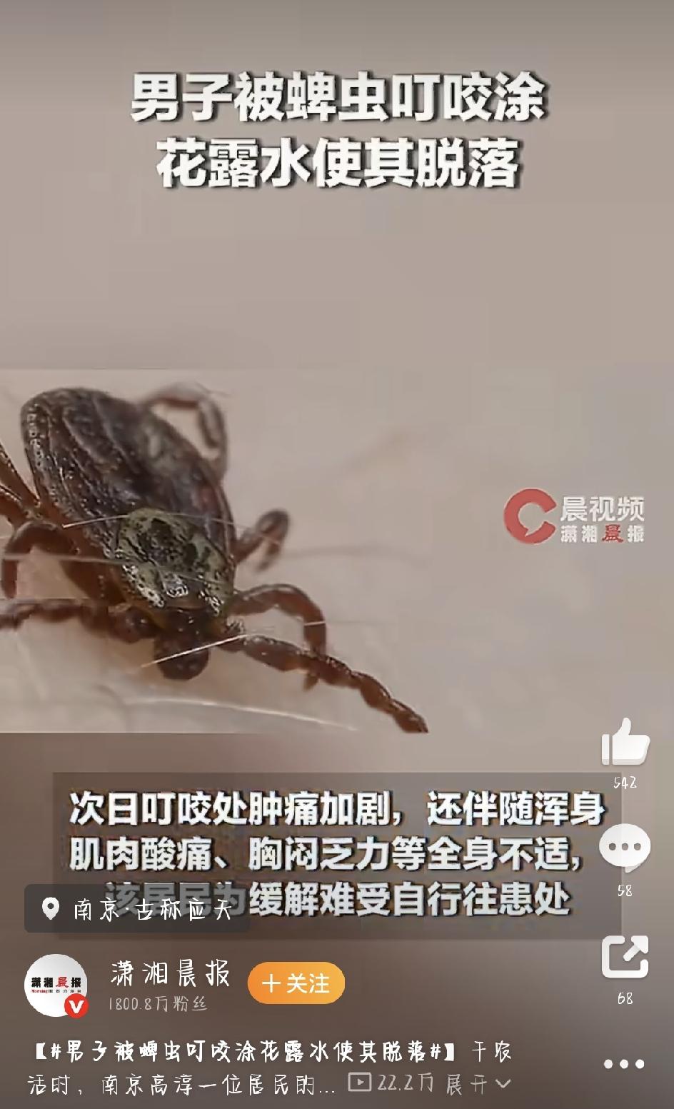 入夏以后，草木长得茂盛，蜱虫也到了最活跃的时候。下地干活、上山踏青，稍不注意就容