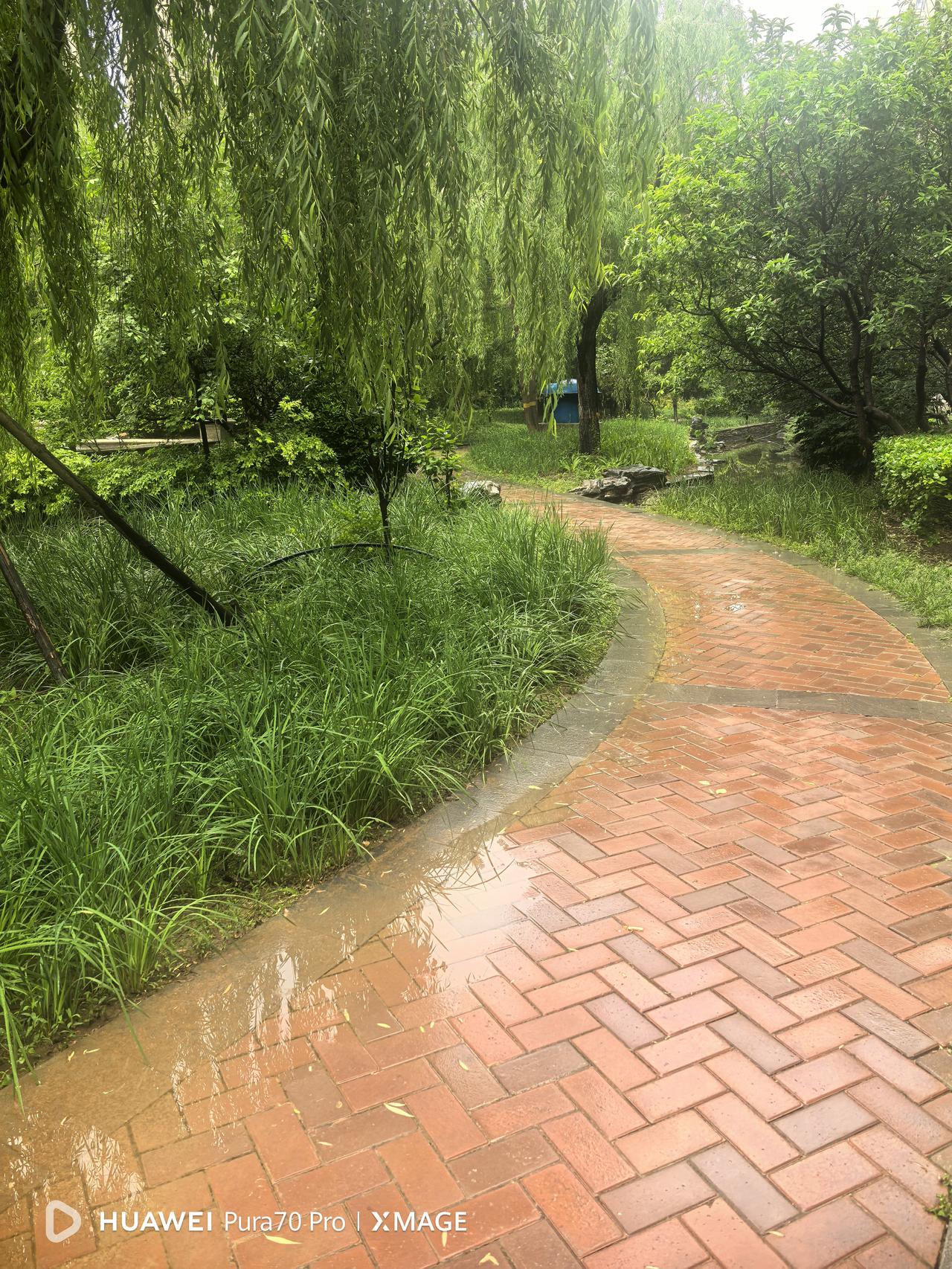 沧州今天这场雨，从早晨时断时续一直下到现在，截至目前的最新通报，已有32个站点达