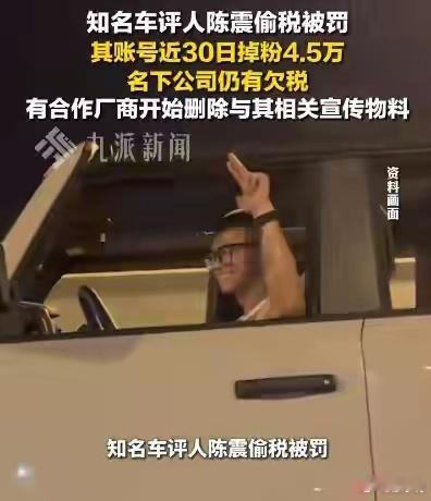 陈震名下公司因欠税被公告坐拥千万粉丝、年入超2000万却用空壳工作室偷逃税款，一