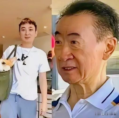 难怪王思聪有心情看女团，
原来是万达有了回春迹象。

王健林赎回了烟台万达，并且