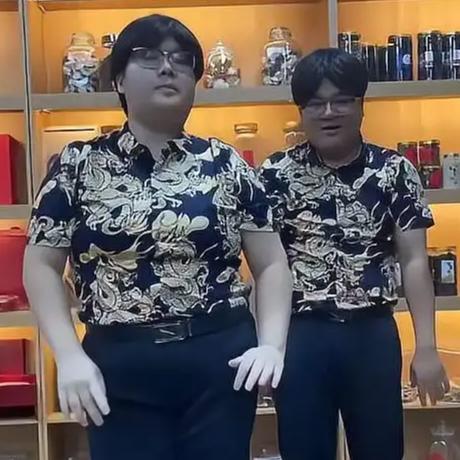 广东东莞95后何先生和梁女士夫妇被网友称为“史上最相似夫妻”的事件，主要引发了网