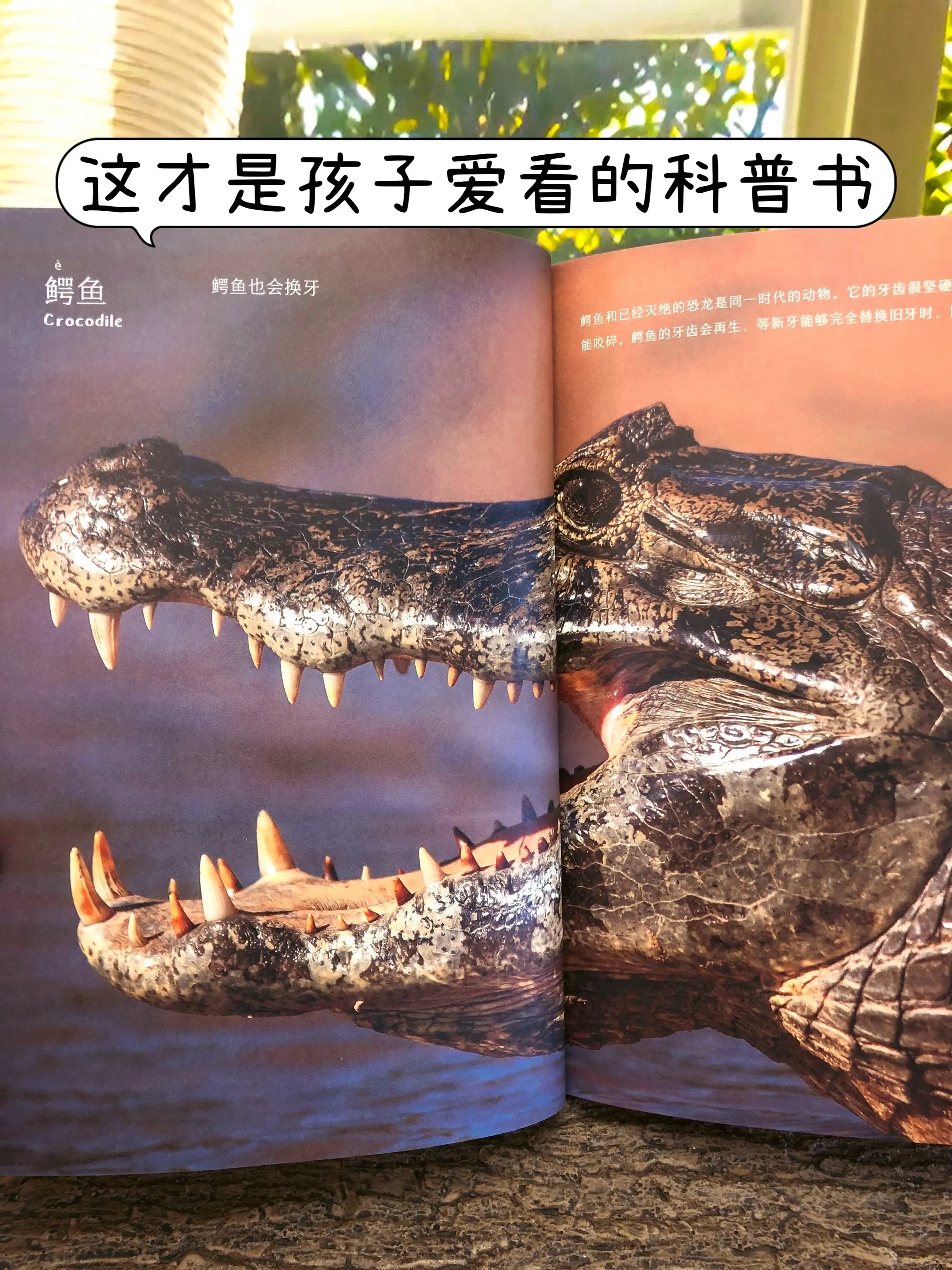 哇!至今看到最好看最有趣的自然百科全书。高清大图实拍，视觉冲击力堪比纪...
