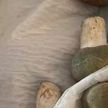🍄蘑菇盲盒开箱！每个都圆滚滚的，带着天然的花纹～ 摸起来湿湿凉凉，像刚从森林里