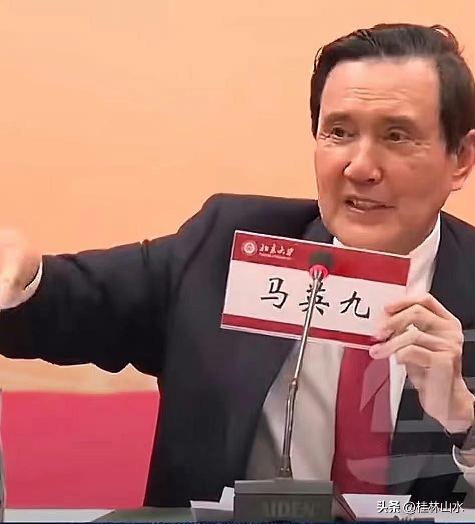 马英九等蓝营人物的“温和路线”！

马英九等人打着“促进两岸和平发展”的旗号，实