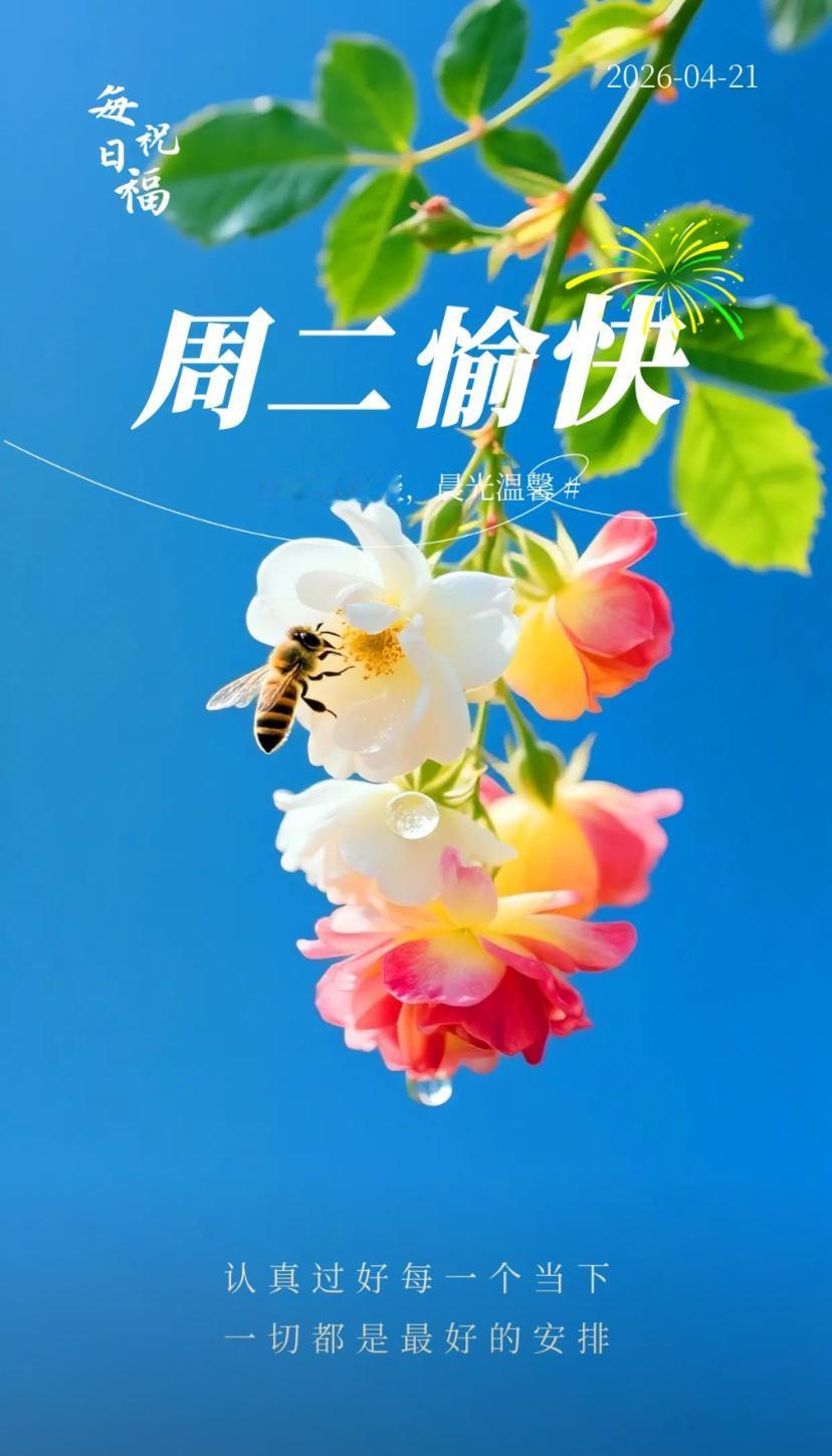 春晨问安，春染人间花竞放，福随岁月意绵长。
2026./04.21.
[微风][
