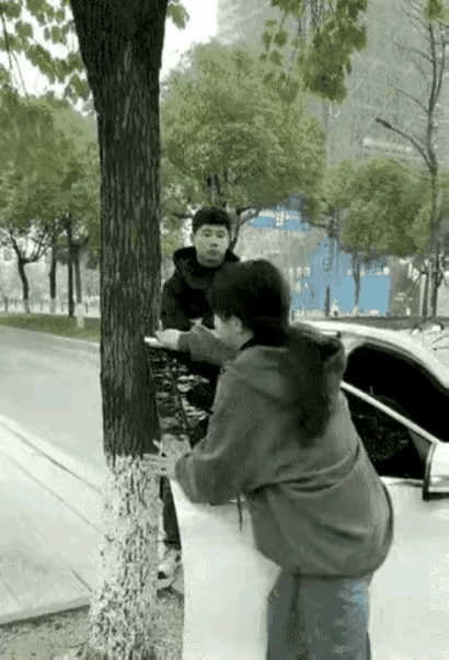 这个活树你倒是动一下啊，卡着我车门了