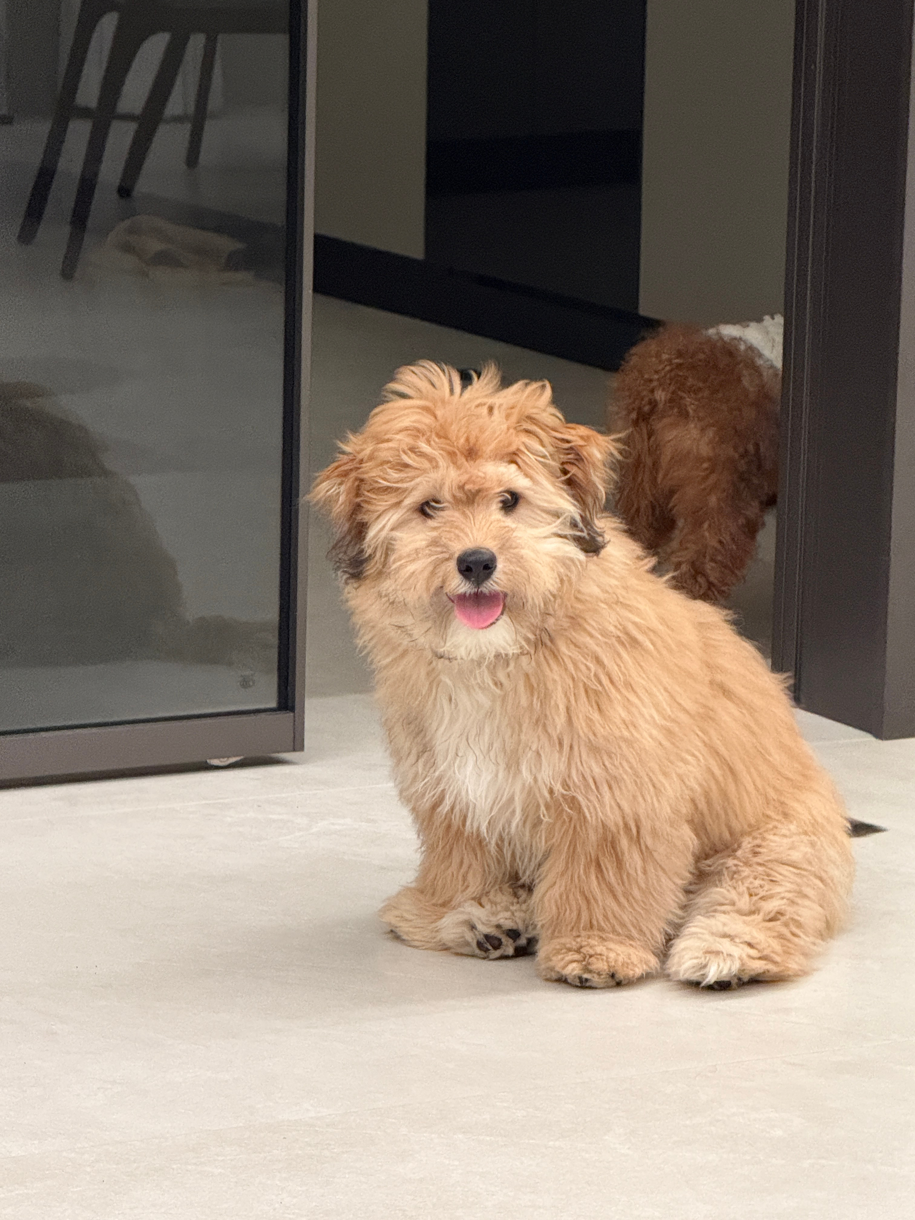 最近幸福的没话说 