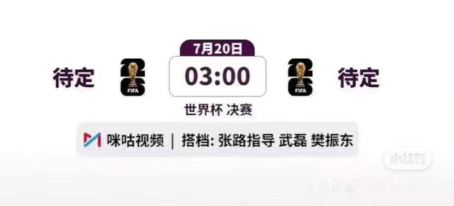世界杯决赛的解说有樊振东耶 