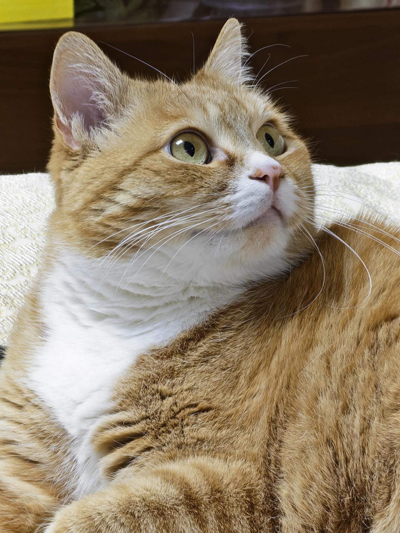 春日生活打卡季惊奇！