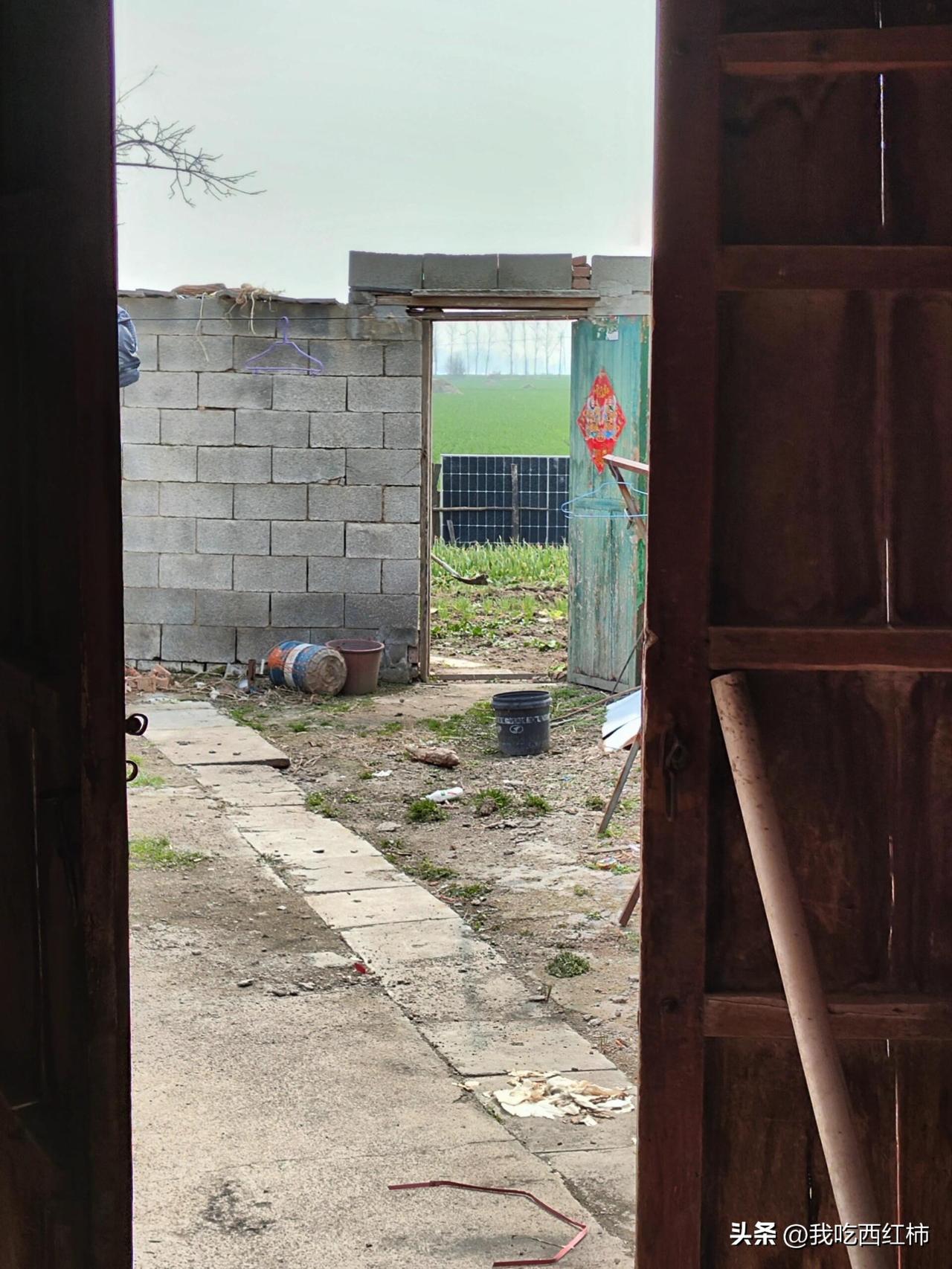 我妈问我，外面到处都在打仗，打到最后会不会爆发核战争？我安慰她不用太过担心，还不