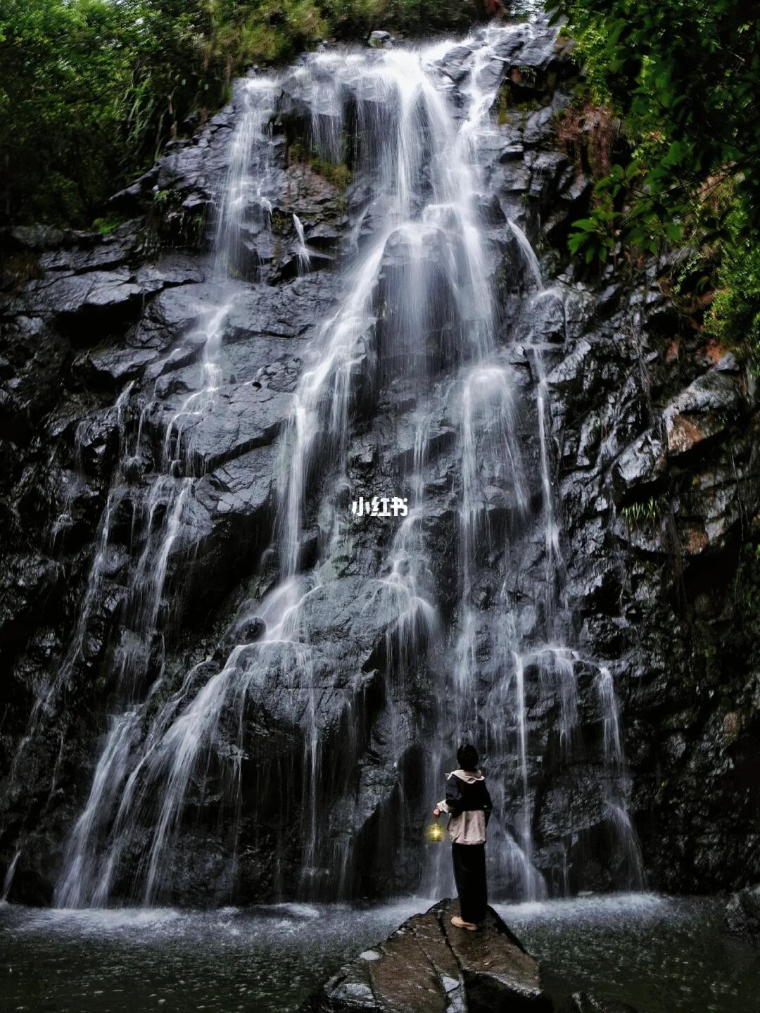 深圳｜如果你累了就跟我去森林徒步看瀑布吧