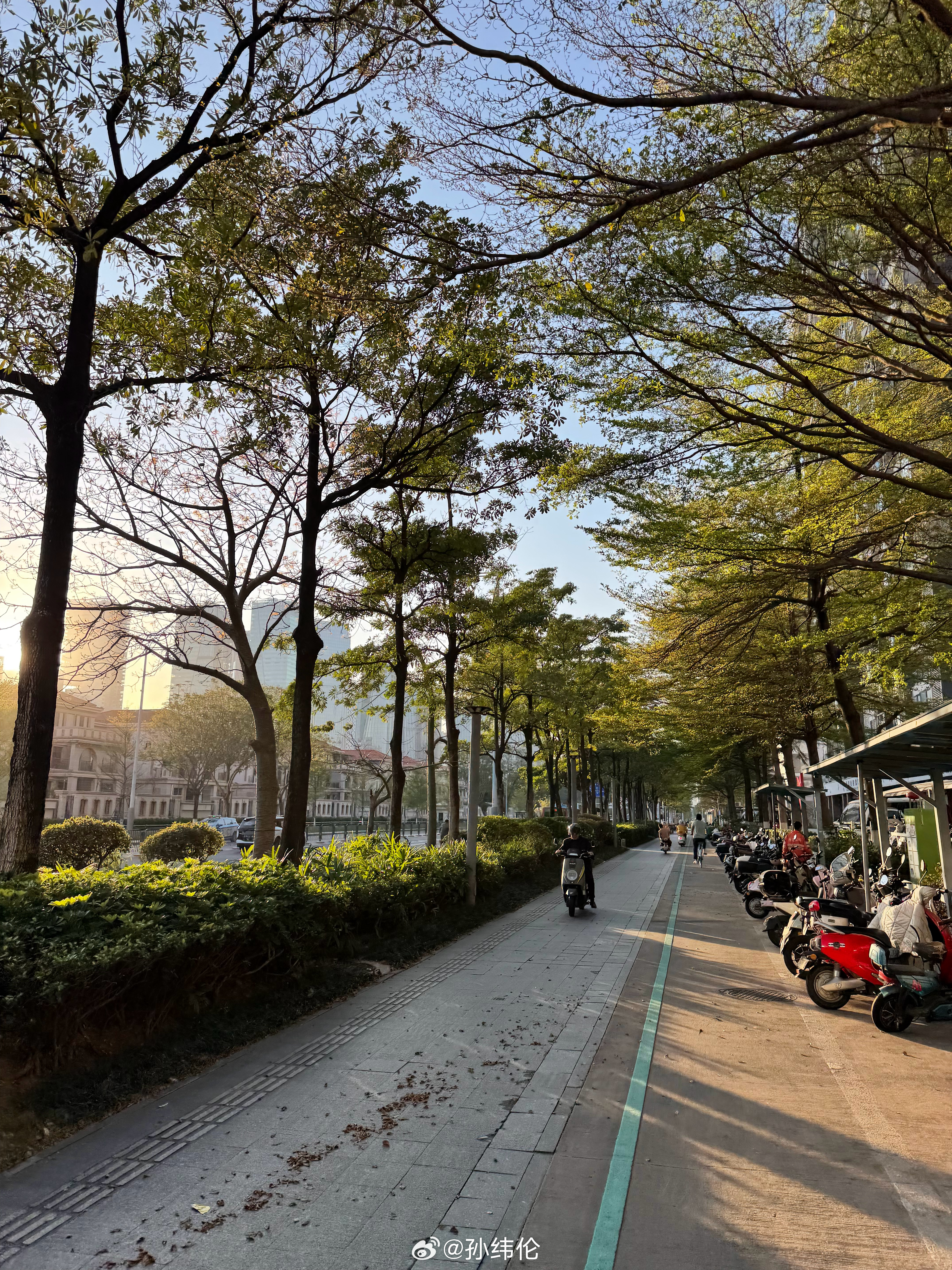 早安，六点的深圳 深圳·深航假日名居