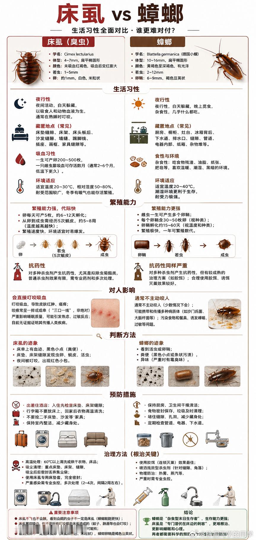 床虱 VS 蟑螂…比蟑螂还可怕…几乎灭绝的床虱为何又卷土重来