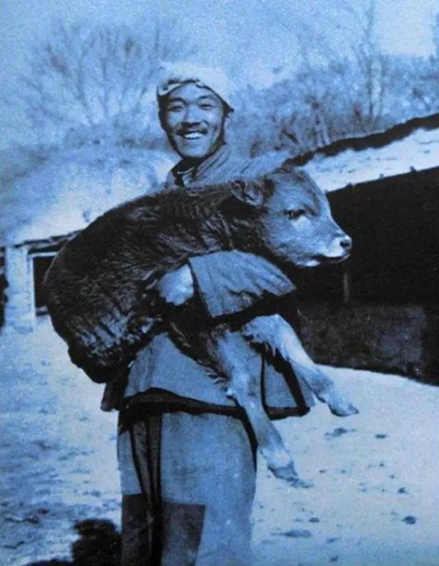 下图是史铁生21岁那年，抱着一头牛拍下的合影。时间是1971年，地点是在史铁生插