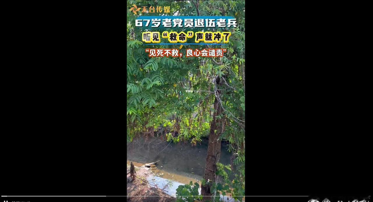 三次跳水救人的台州男子用行动书写担当当被问及为何总能在危急时刻挺身而出，他质朴回