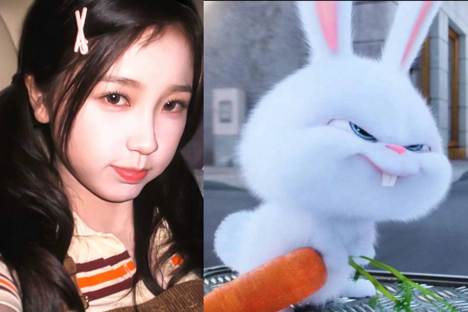  我说第一个发现虞书欣是兔老大塑的人简直是天才啊！！就是这个外表长得萌萌的但是眼